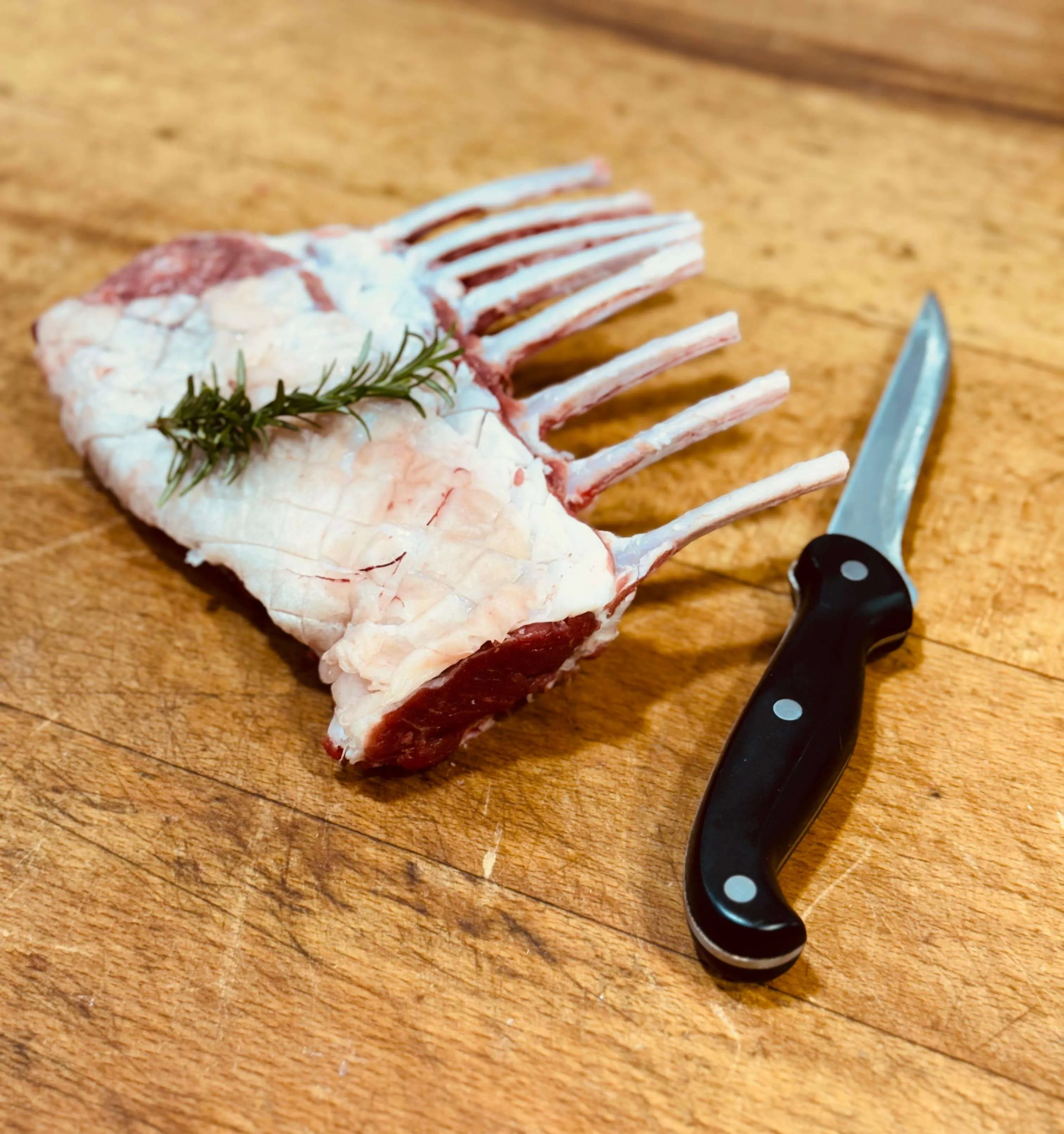 Carré d’agneau français